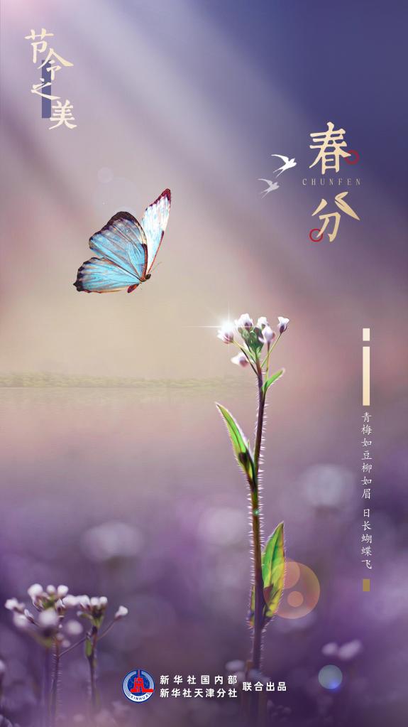 “春分”：仲春初四日，春色正中分